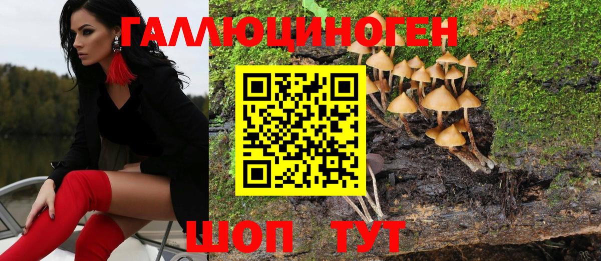 Псилоцибиновые грибы Psilocybe Красноармейск