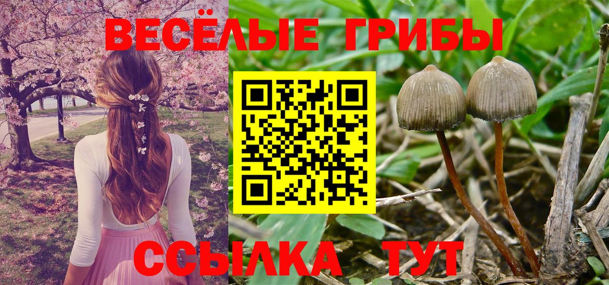 Красноармейск  Псилоцибиновые грибы Magic Shrooms  Вход с VPN 
